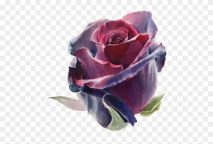 Flowers Watercolor Painting Drawing Artist - Roses Watercolor Best #1281011