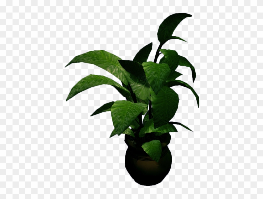 Plant big log. Растение в горшке PNG. Горшок иконка. Найти цветы в горшках. Wallplant in Pot PNG.
