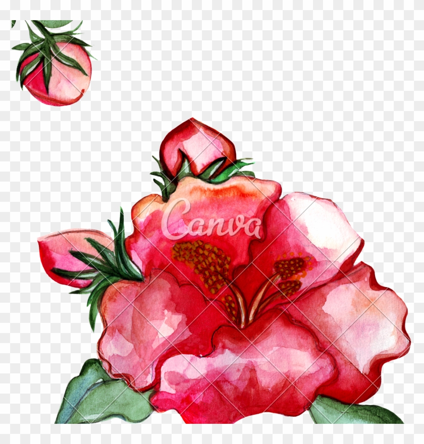 Illustration Peony Flower - Illustration Peony Flower #1285479