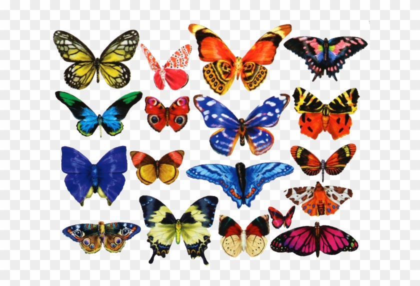 18 Mini Shaped Puzzles - Lafayette Puzzle Factory Mini Shaped Butterflies Puzzle #1289650