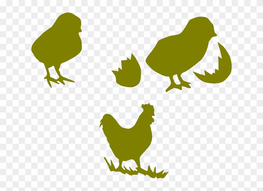 Animal Chicken, Cock, Animal - Silueta Pollito Png #1291065