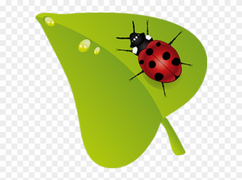 Beruu0161ky Insect Clip Art - Uğur Böceği Png #1291306