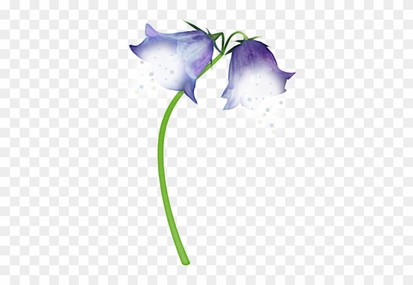 Fleur - Harebell #1294133