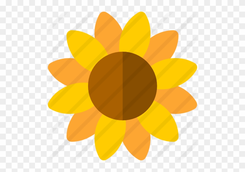 Sunflower - Clic De Girasoles Png - Free Transparent PNG Clipart Images  Download