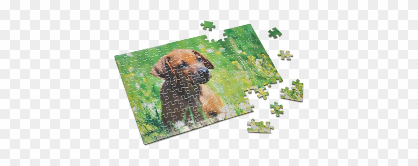 M Pbs Pg Puzzle 1 - Gift #1298530