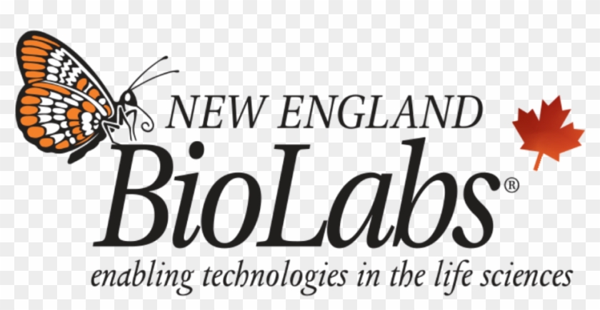 Logo Primary Neb Logo 51 For Your Designer Logos With New England Biolabs Free Transparent Png Clipart Images Download