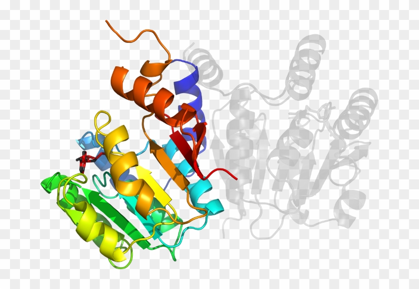 D5zw3a In Context Of Pdb - Graphic Design #1299190