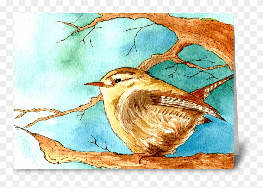 Fluffy Wren Greeting Card - Carolina Wren #1299989