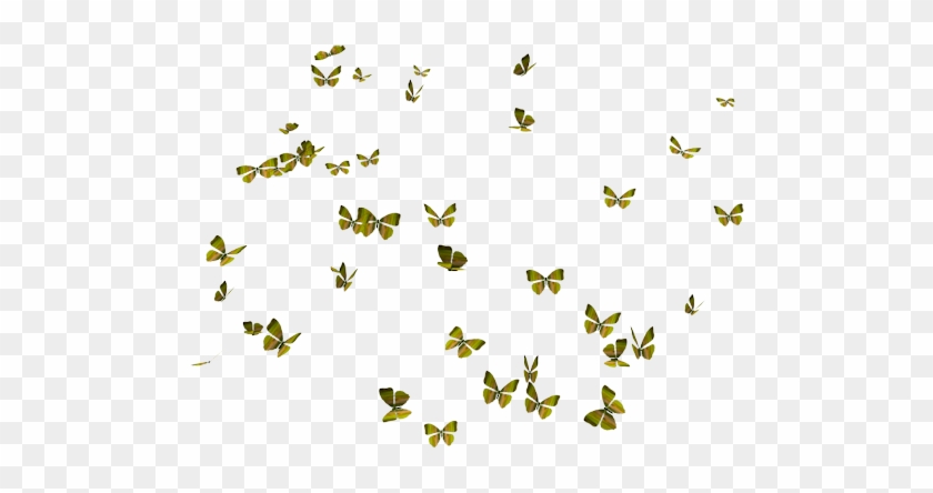 Butterflies2 - Butterfly Graphic Png #1300206