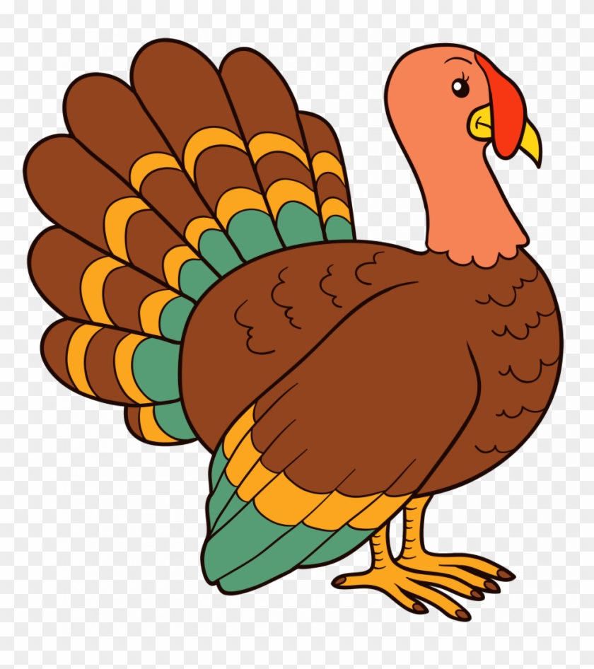 Download Very Attractive Turkey Image Clipart - Download Very Attractive Turkey Image Clipart #1305853