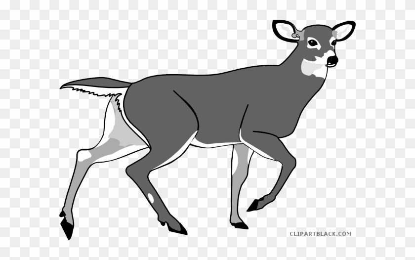 Cute Deer Animal Free Black White Clipart Images Clipartblack - Respiracion Pulmonar En Mamiferos #1306847