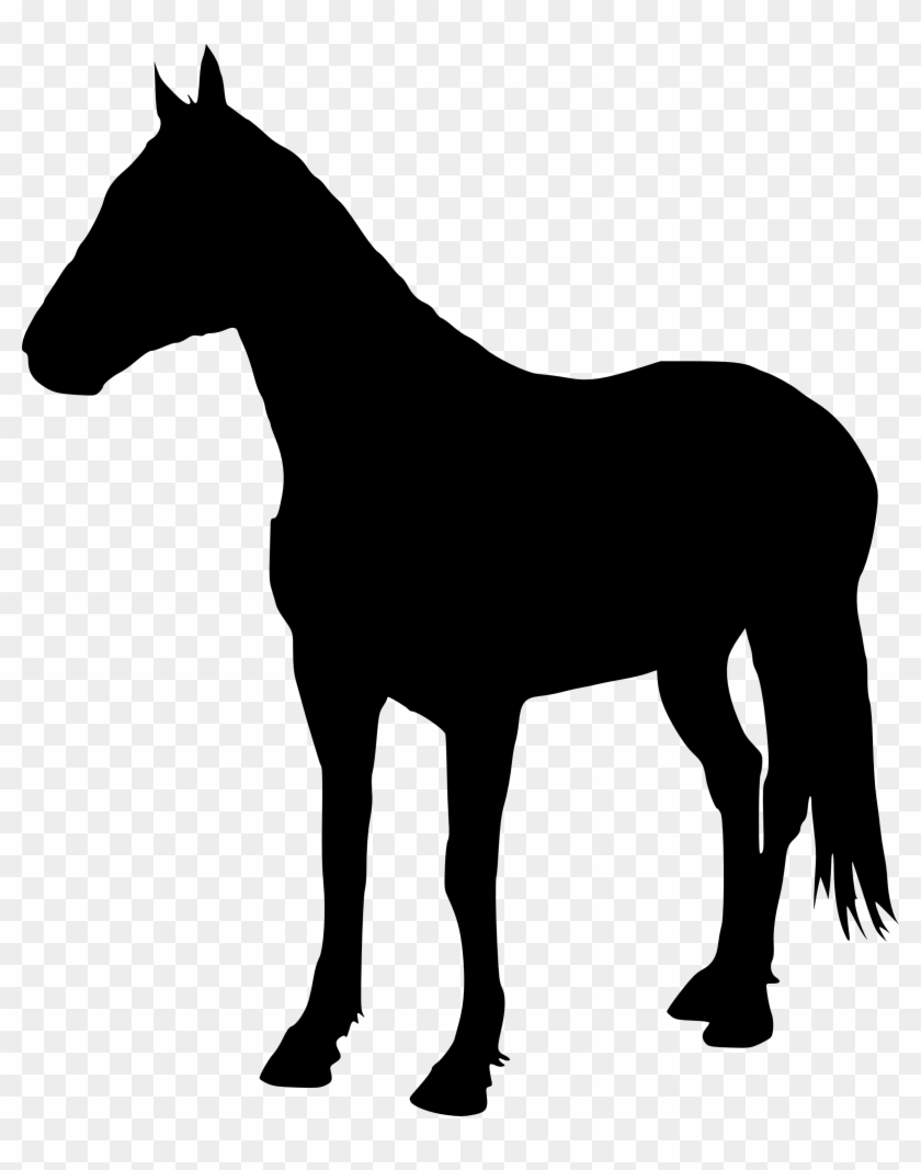 5 Horse Silhouette - Horse Silhouette Transparent Background #29160