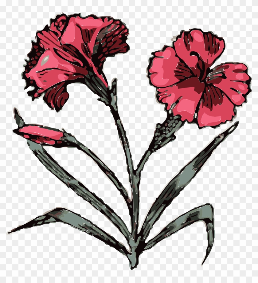 Transparent Flower With Stem Png  Carnation Tattoo Designs Png Download   vhv
