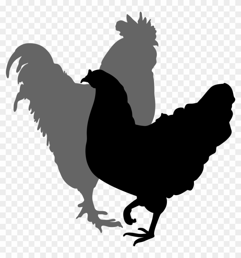 Filerooster And Hen Silhouette - Rooster And Hen Silhouette #31234