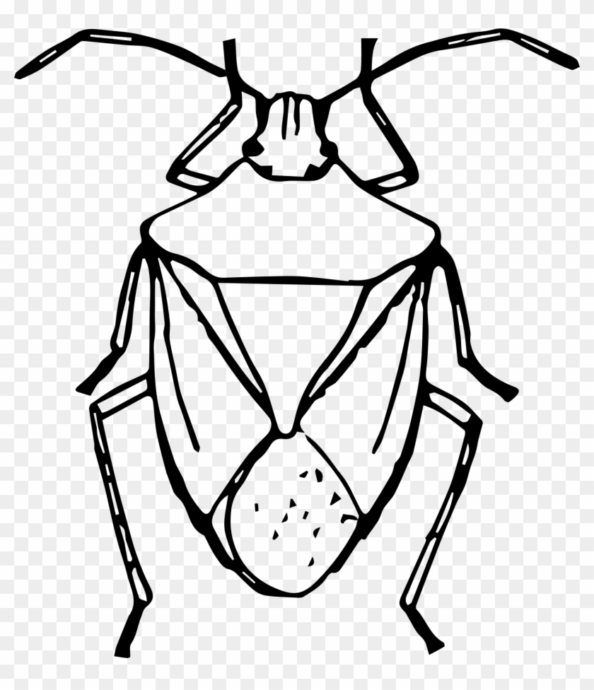 Bugs Clipart Big Black Pencil And In Color Bugs Clipart - Stinkbug Black And White #31866