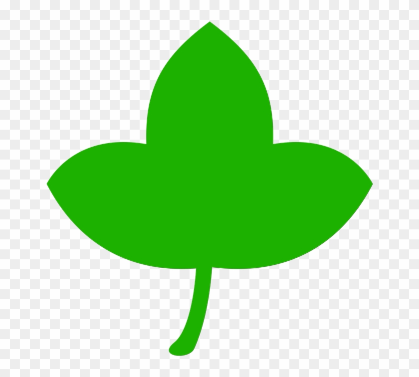 Icon Leaf Green Tree Nature Leaves Plant - Leaf #32644