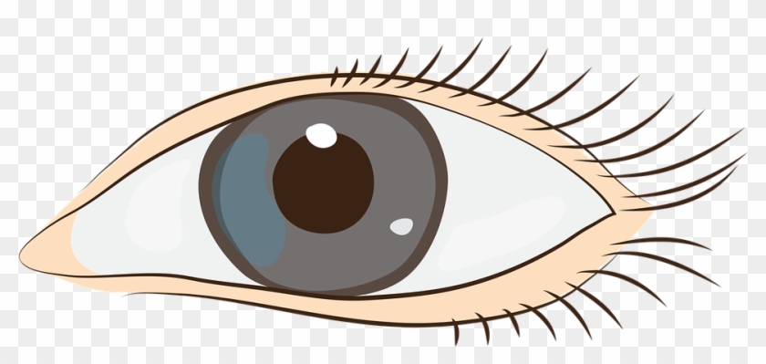 Eyes Sight Face Clip Art Graphics - Cap #34995