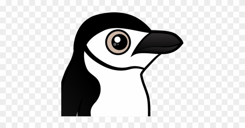 About The Chinstrap Penguin - Penguin #1314411