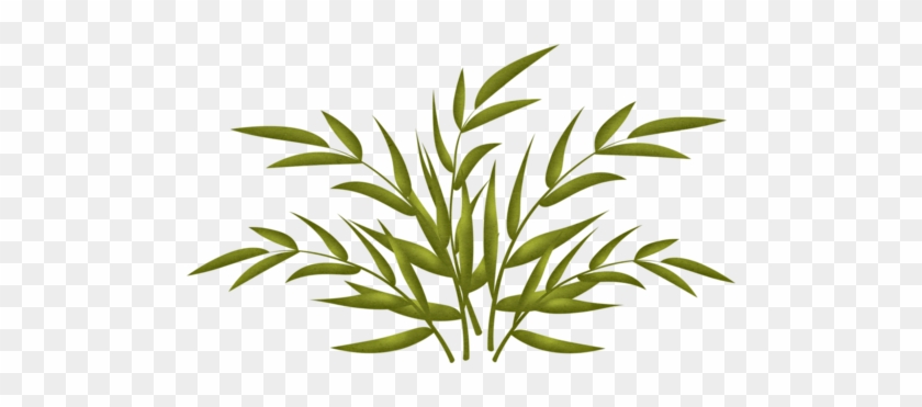 Plants Plants Free Transparent Png Clipart Images Download