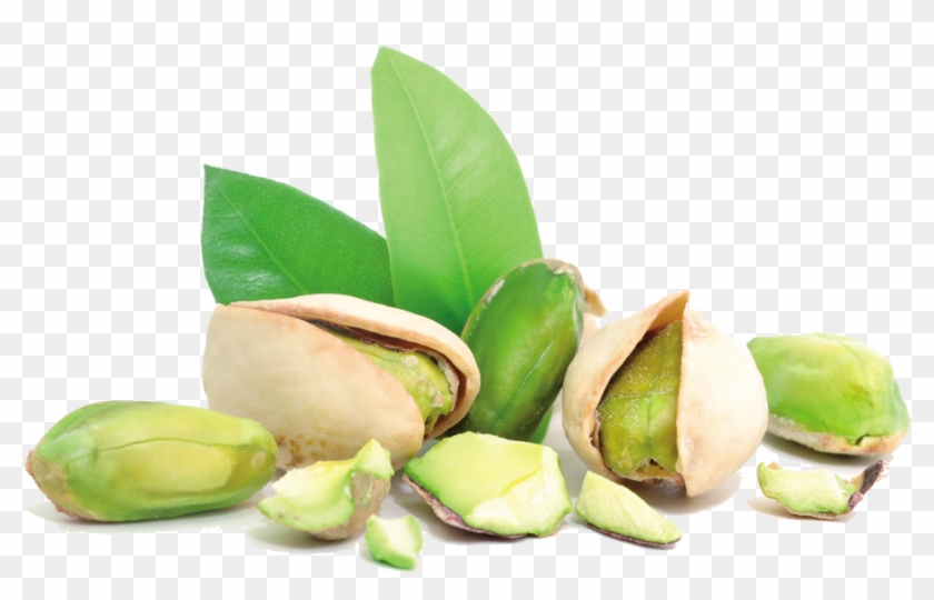 Pistachio - Pistachio Png #1316047