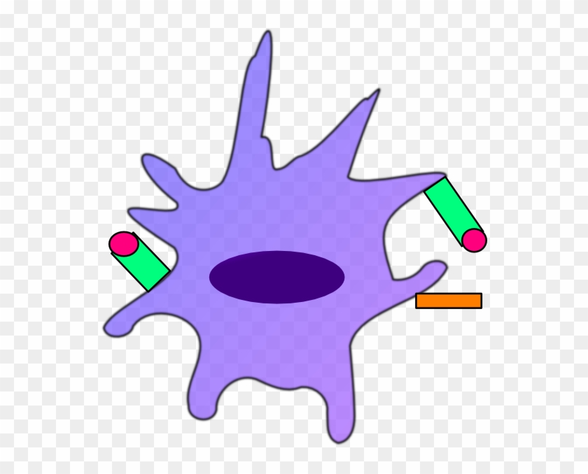 antigen clipart sun