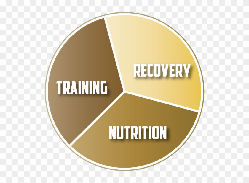 Training Pie Chart - Training Recovery Nutrition #1319146