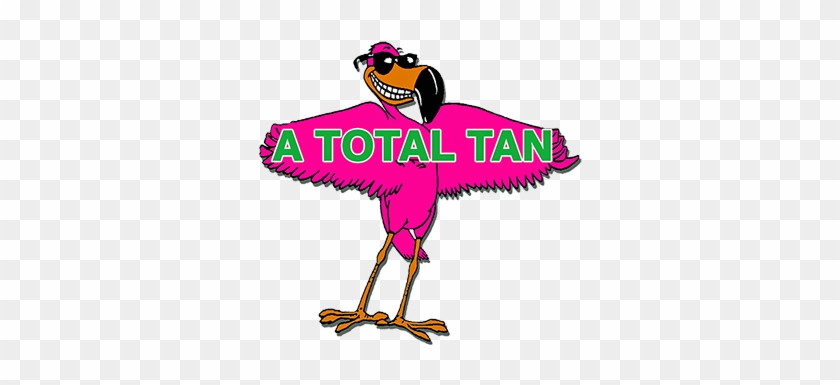 Get The Tan You Want - Total Tan #1319161