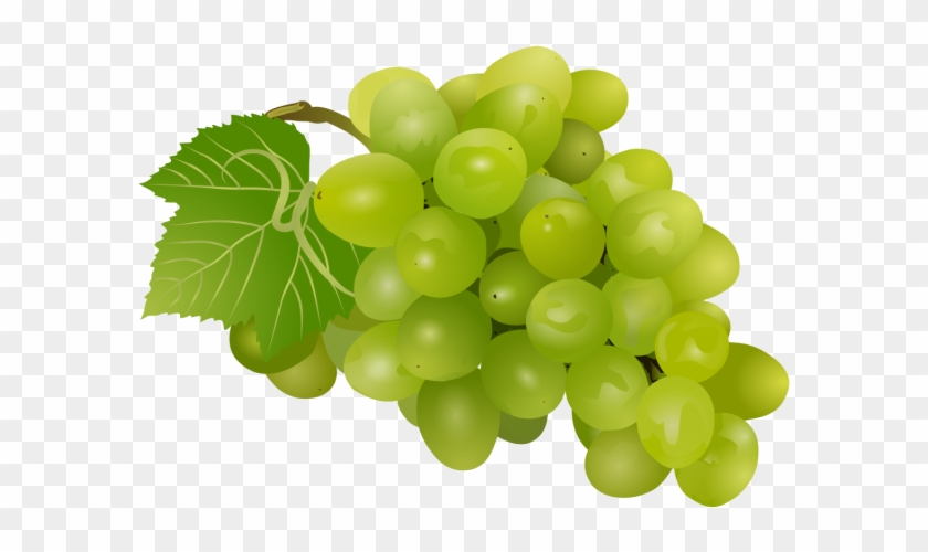 Sultana Clip Art Grape Vector Graphics Portable Network - Clip Art #1325369