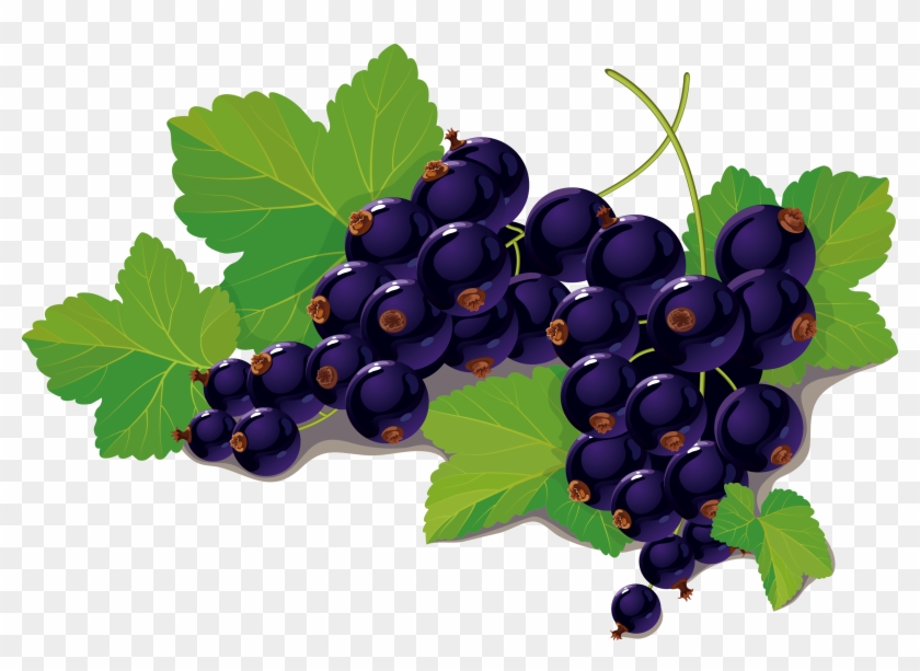 Blackcurrant Blueberry Clip Art - Transparent Blackcurrant #1325372