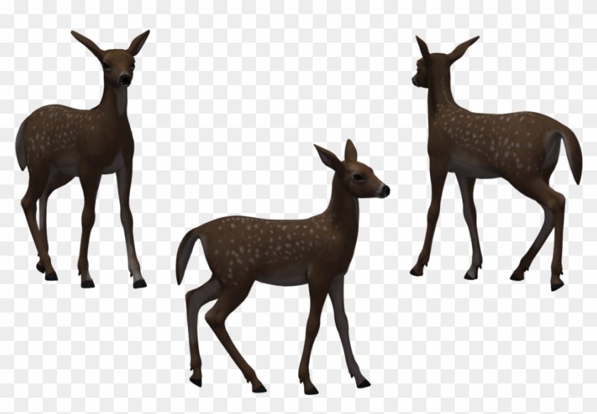 Clip Arts Related To - Roe Deer #1327200