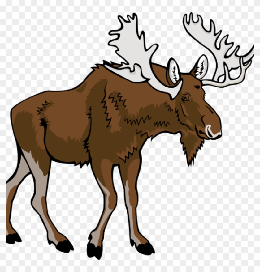 Moose Clipart Free Moose Clipart Pictures Clipartix - Moose Clipart #1327866