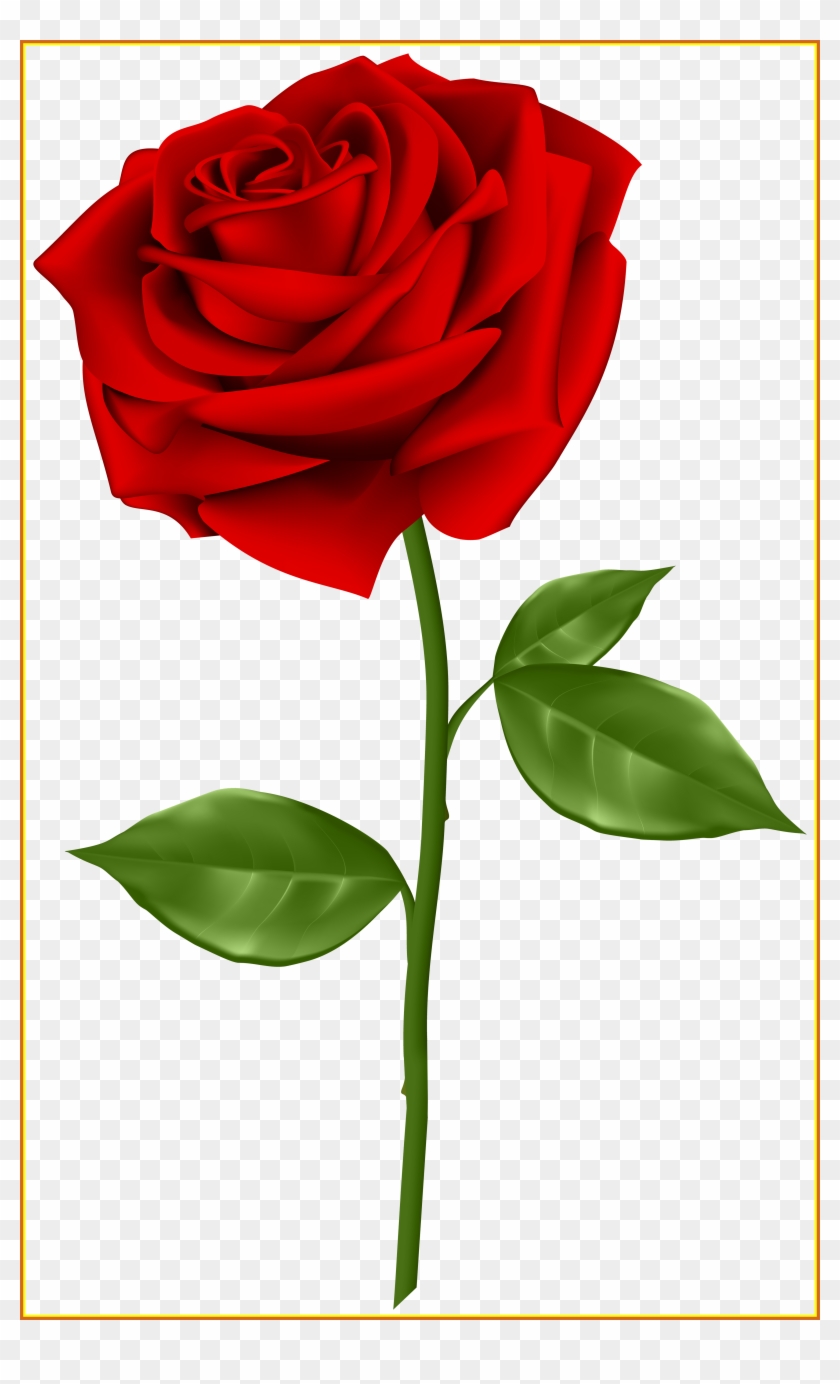 Best Red Rose Transparent Png Clip Art Gallery Yopriceville - Rose Png - Free  Transparent PNG Clipart Images Download