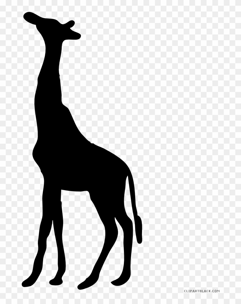 Black And White Giraffe Animal Free Black White Clipart - Dear Keith: Not Everything Is As It Seems #1330004