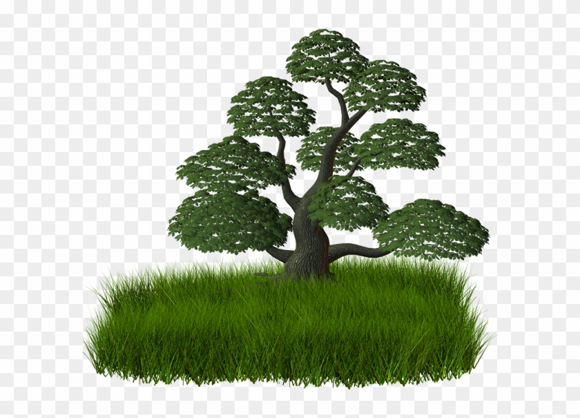 Branch Tree Raster Graphics Clip Art - Portable Network Graphics #1330077