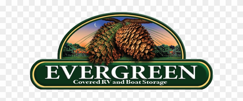 Evergreen Rv Storage Logo - Recreational Vehicle #1330578