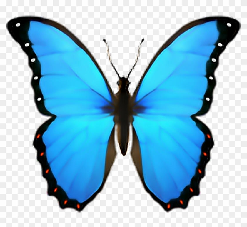 Blue Butterfly Emoji #1334363