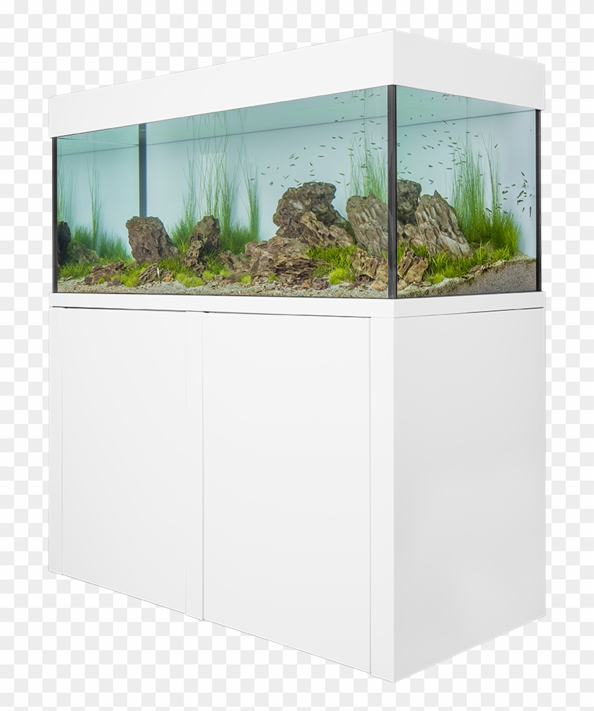 Our Vision And Services - Public Aquarium #1334412