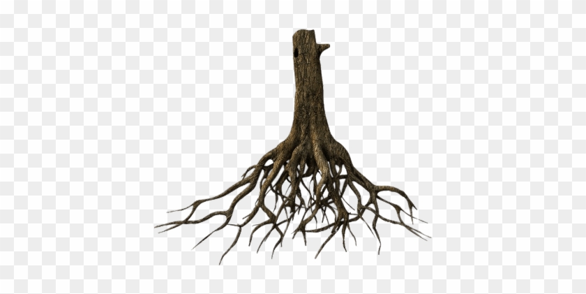 Tree With Roots Png - Free Transparent PNG Clipart Images Download