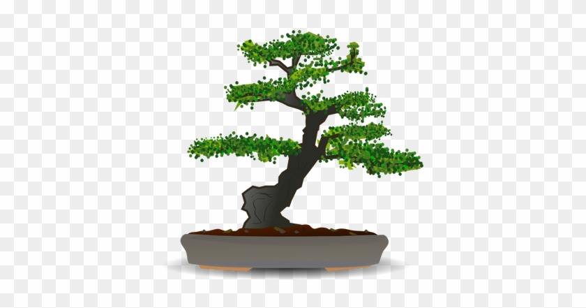 Dibujo Vectorial Del Árbol De Los Bonsais Bonsai Png Free Transparent PNG Clipart Images