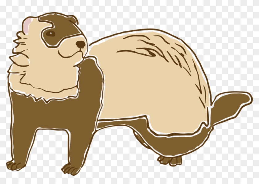 Clipart Resolution 1280*852 - Ferret #1339868