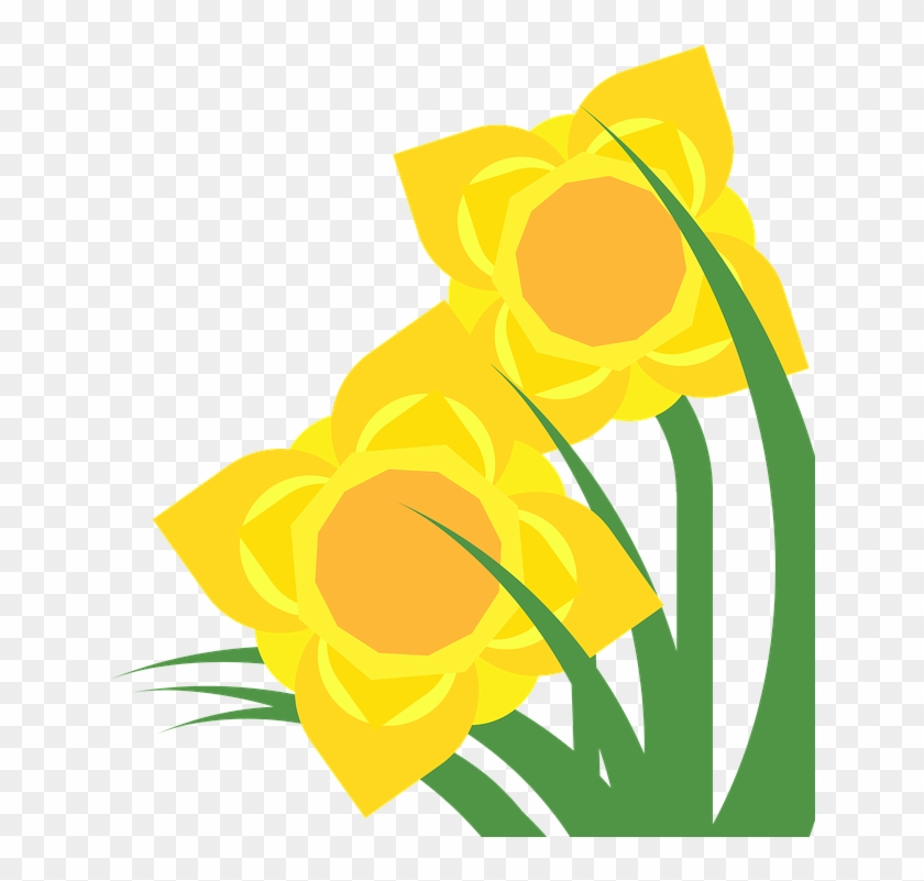 Clipart, Daffodil, Narcissus, Spring, Flower, Plant - Clipart Hoa ...