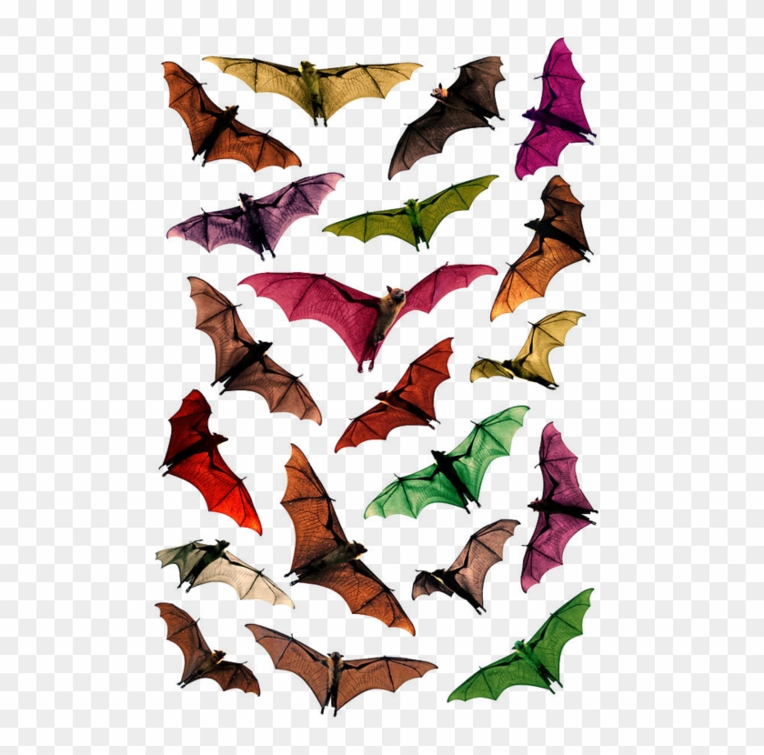 Fantasy Flying Fox Fruit Bats In Sky“ By Paul Kennedy - Sydney #1342842