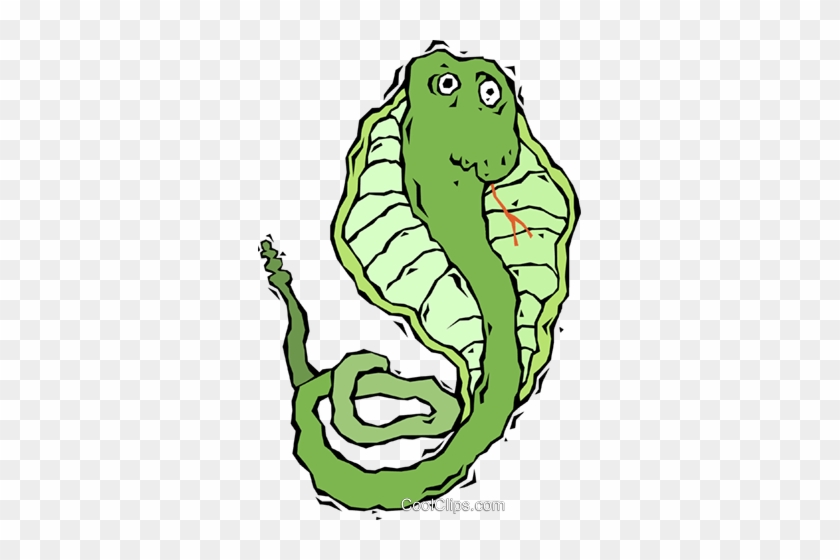 Snake, Cobra Royalty Free Vector Clip Art Illustration - Cartoon Cobras #1342866