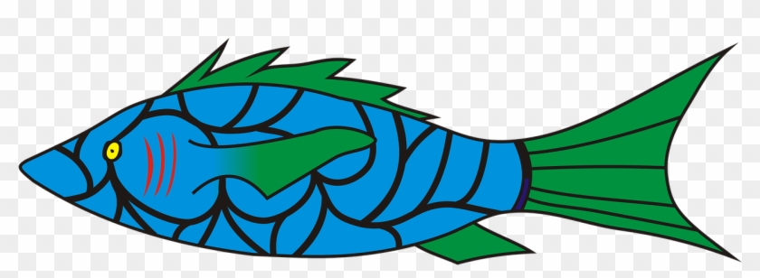 Fish Symbol Vector - Imagens De Peixes Sem Fundo #1343582