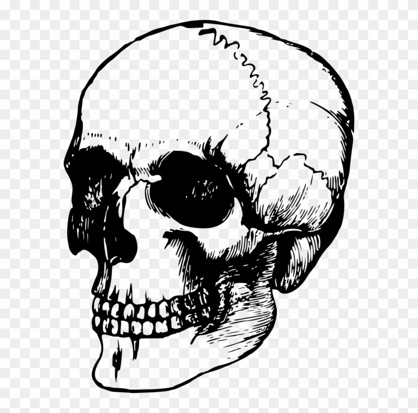 Calavera Human Skull Symbolism Art Human Skeleton - Dead Head #1344252