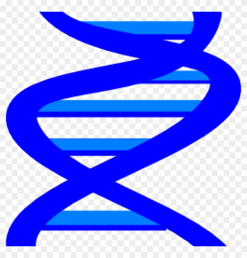 Dna Clip Art Dna Clip Art At Clker Vector Clip Art - Clip Art #1345847