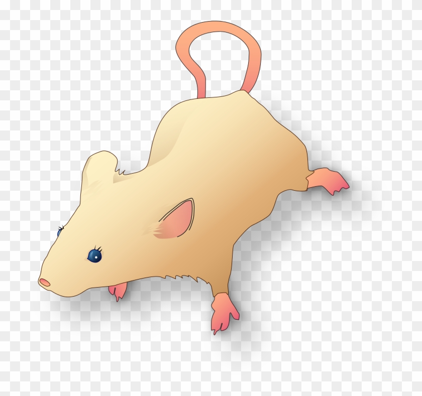 Vectorized Lab Mouse Mg 3263 For Scientific Figures - Thumbnail #1351382