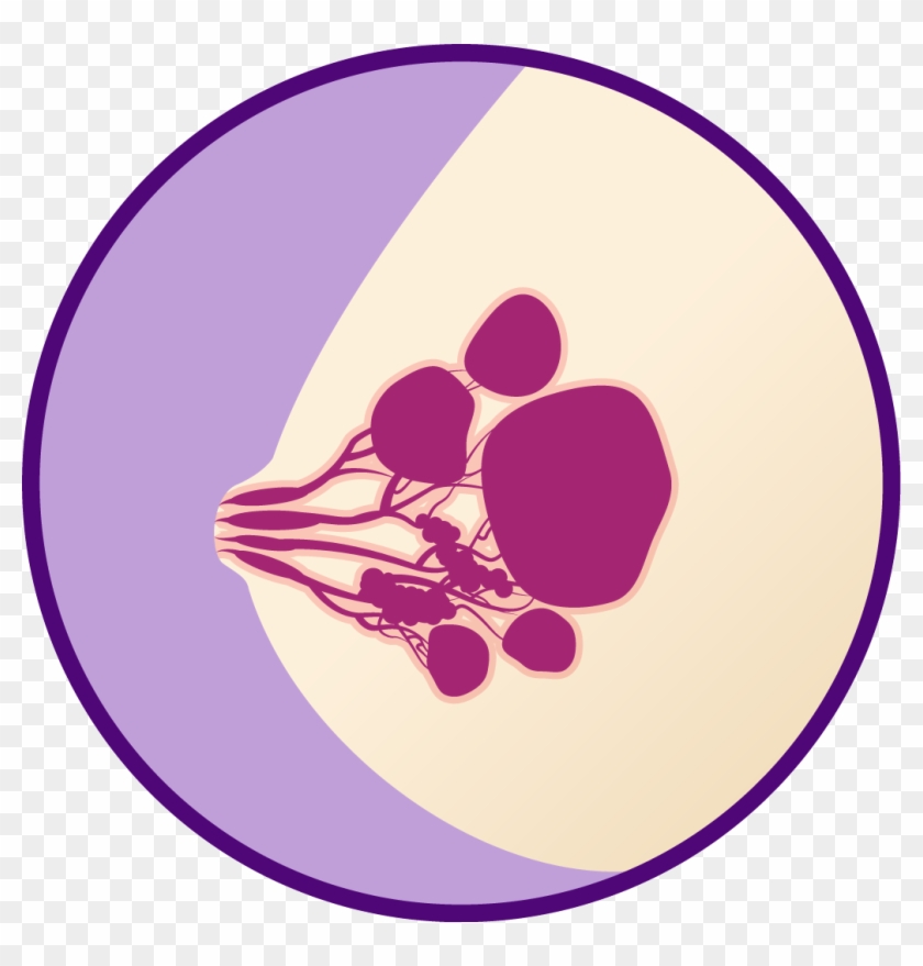 Clipart Royalty Free Violet Iodine Fibrocystic - Circle #1355322