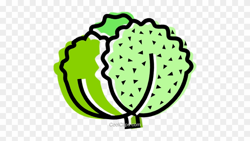 Lettuce Royalty Free Vector Clip Art Illustration - Lettuce Royalty Free Vector Clip Art Illustration #1356509