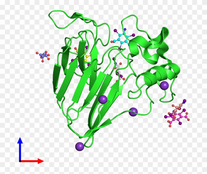 Pdb 3e3s Coloured By Chain And Viewed From The Front - Graphic Design #1358187